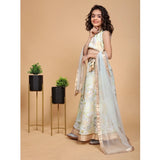 Green chiffon printed lehenga choli set for girls, sleeveless round neck design on display