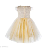 Golden net dress, sleeveless self-design Toy Balloon Kids Party Wear for 2-3 years old girls