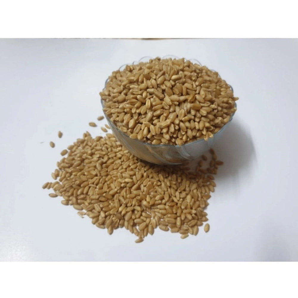 Wheatgrass microgreen seeds in a clear bowl