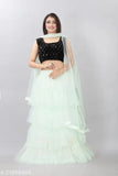 Light green velvet & net semi-stitched lehenga, sequinned choli with lace dupatta. Indian ethnic embroidery on traditional wear