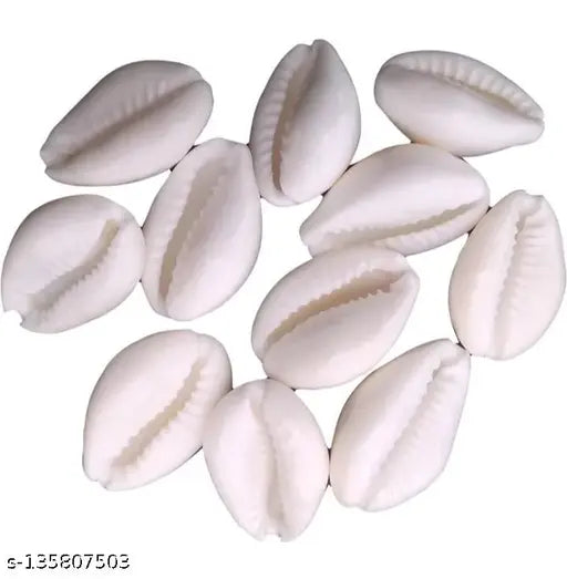ABS White Kodi/Laxmi Cowrie Set (21 pcs) for Lakshmi and Diwali Pooja - Essential puja objects for religious ceremonies, home, and office