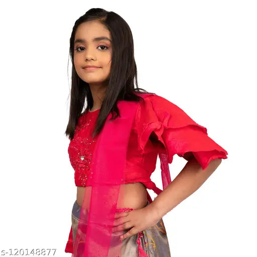 Embellished georgette ghagra lehenga for children, botanical stitch in net fabric, size 2-3 years, Indian traditional wear