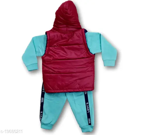 Red and blue padded child's winter clothing set, full-sleeve t-shirt with hood, jacket, and pants