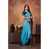 Light blue chiffon embroidered saree with unstitched blouse, intricate design on a 5.5mtr traditional Indian garment