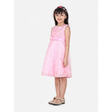 Pink net embroidered sleeveless dress with round neck and zip closure, knee-length style for girls' fashion