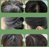 Black hair color pen stick with built-in comb for temporary root and hairline touch-ups for men and women