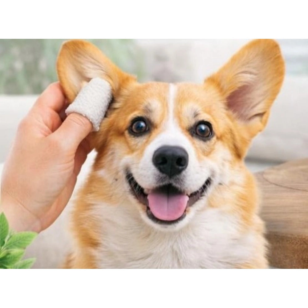 { "alt_text": "White non-toxic pet ear cleaning wipes for dogs and cats, alcohol-free dog hygiene product on hand" }