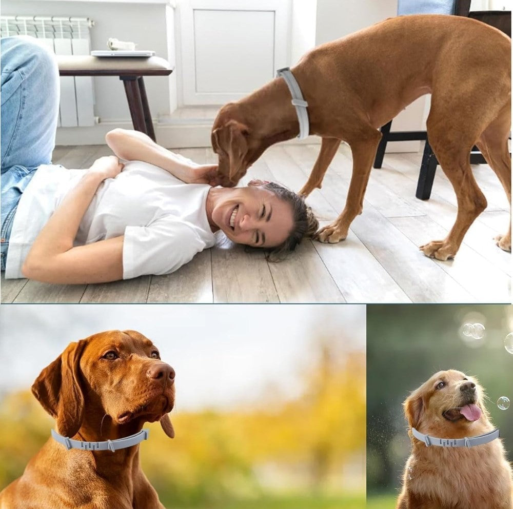 Grey silicone dog flea collar providing long-lasting, waterproof protection against ticks and fleas