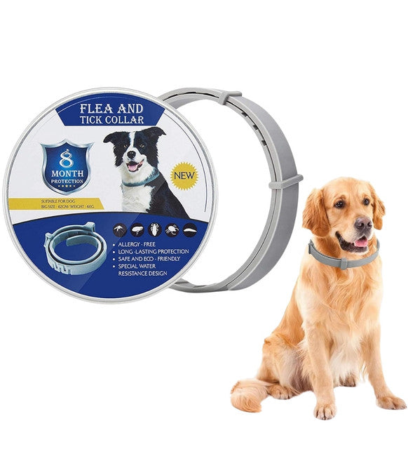Grey silicone dog flea collar providing long-lasting, waterproof protection against ticks and fleas