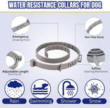 Grey silicone dog flea collar providing long-lasting, waterproof protection against ticks and fleas