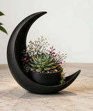Plastic Crescent Moon Decoration With Elliptical Plant Pot (Black)