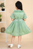 Agile, knee-length, light green chiffon girl's dress
