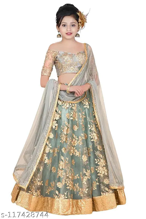 Embroidered net lehenga choli ethnic wear for girls (25-14 years), India