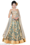 Embroidered net lehenga choli ethnic wear for girls (25-14 years), India
