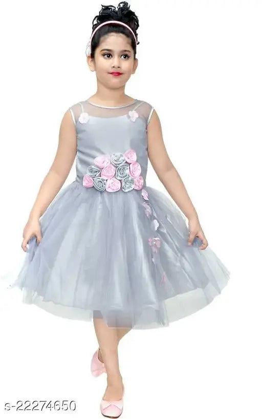 Silver chiffon net frock with decorative trim and floral details