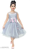 Silver chiffon net frock with decorative trim and floral details