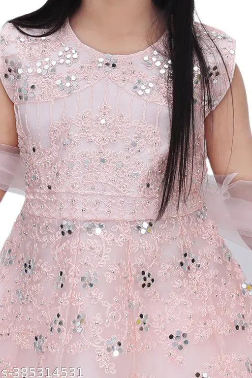 Dark kurta net anarkali lehenga choli set for girls, intricate Aari work, Indian wedding dress