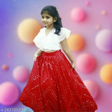 Organza & net embroidered Lehanga Choli set for kids, sleeveless design, traditionally stylish and versatile Indian attire