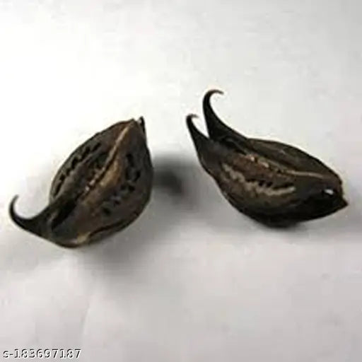 Black wooden Feng Shui showpiece, 11 pieces of sacred Bat Head Roots from India