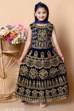 Velvet embroidered lehenga choli with net dupatta for girls, exquisite Indian attire for 3-9 years