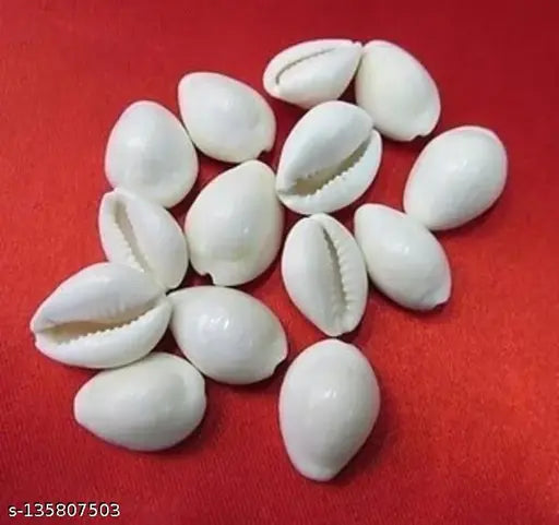 ABS White Kodi/Laxmi Cowdi/Kauri/Kowri/Cowry/Kaudi/Cowrie for Diwali Pooja, 21-piece set for Lakshmi worship and home decor