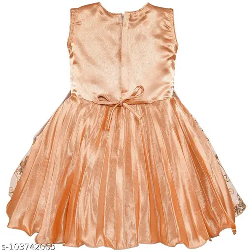 This is a beige, satin fabric frock dress with a silver lining and net trim