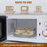 Transparent glass rectangular containers with lids and detachable locks, set of 3, microwave safe, oven safe, freezer safe, food storage