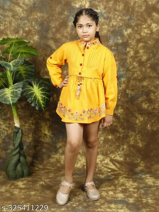 Denim embroidery dress, printed net pattern, long sleeves for girls aged 5-11 years, Indian origin