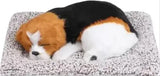Brown and white polyresin sleeping dog decor, perfect for car dashboard or home, features activated carbon for air purification