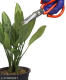 Heavy-duty metal scissors for bonsai, flowers, and plants trimming - India made, ideal for art & crafts (2 pack)