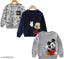 Cotton sweatshirt hoodie pack of 3 with Mickey Mouse print for kids, vibrant and comfortable Disney clothing