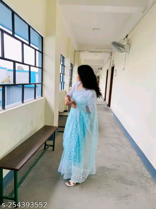 Heavy embroidered sky blue net saree with separate Bangalori silk blouse, intricate Indian sequence work