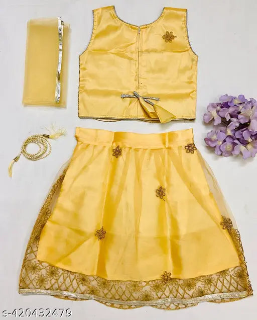 Embroidered net kid's lehenga choli in ethnic wear, Indian origin, premium quality with sleeveless top and matching net dupatta for 9-24 months sizes