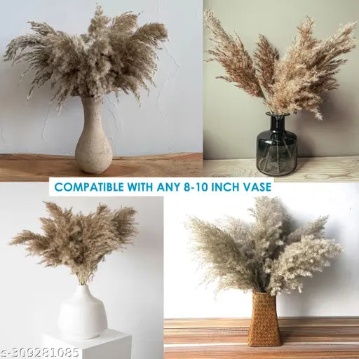 18 inch Long Natural Dried Premium Pampas Grass for Home, Office, Wedding and Events Decor – Fluffy, No Shedding and No Stench (6 pcs)