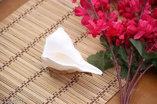White conch shell with natural pattern