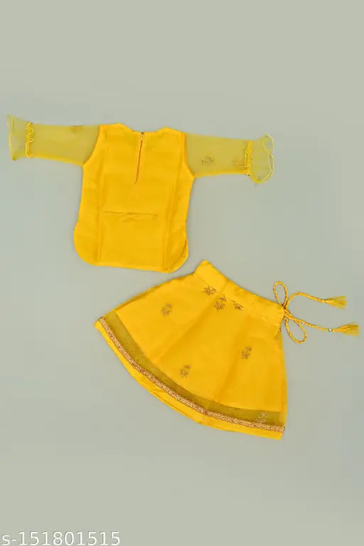 Embroidered net kids lehenga and choli set, three-quarter sleeve, Indian traditional clothing for 6-12 months