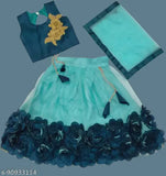 Embroidered net lehenga-choli-dupatta set for girls, floral stitch design, self-designed in India