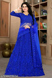 Taffeta silk lehenga set for women, embroidered top and net dupatta, Indian traditional clothing on display