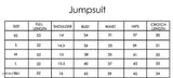 Georgette crystal jumpsuit for women, Indian-made printed net long sleeve jumpsuit