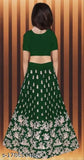Embroidered satin and net lehenga choli for girls, 3-15 years, Indian traditional clothing on display
