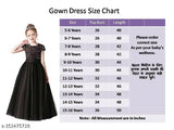 Festive Season Embellished Velvet Long Sleeve Dress for Girls (India), size 5-16 years, zippered for easy wear