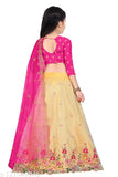 Embroidered kids lehenga choli set in semi-stitch net fabric with cut work border, dupion silk lehenga and net dupatta, three-quarter sleeves. Indian children's traditional clothing for 8-12 years old, 1.7m flair, unstitched blouse