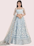 Embroidered net lehenga choli set for kids, short-sleeved and 1050 size, Indian traditional attire