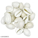 Natural white cowrie sea shell set (11 pcs) for puja and multi-purpose uses - Indian crafted Vastu net, symbolizing wealth and prosperity in Hindu mythology