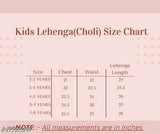 Embroidered Georgette Lehenga Choli for Girls, 2-7 years, self-designed pattern, Indian ethnic wear