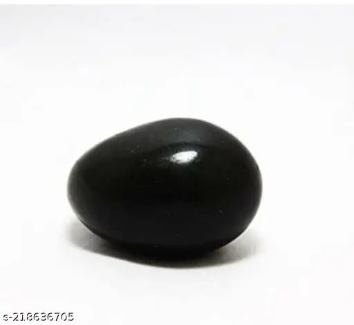Natural black Shaligram stone showpiece from Gandaki River, Nepal - Vastu-compliant decor for Pooja blessings, pack of 1