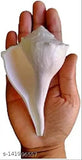 A hand holding a large natural sea shell with a curved interior surface