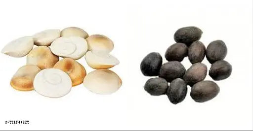 Brass Lakshmi Charan Paduka, Kamal Gatte Seed & Kaudi/Kaudi, Gomti Chakra set (11 pcs each) for Diwali & Laxmi Pooja - Indian religious items for puja, worship, and protection