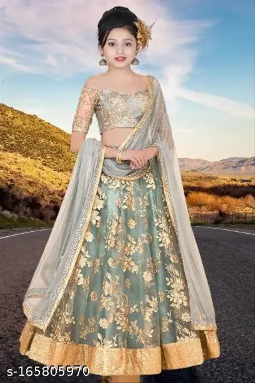 Silk heavy net semi-stitched embroidery Lehenga Choli set with dupatta, India-made, dry clean only