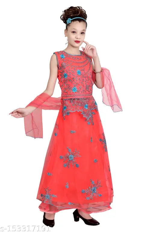 Embroidered net lehenga gown for girls, Indian wedding party sharara with sleeveless design, size 3-4 years (21in waist, 32in length)